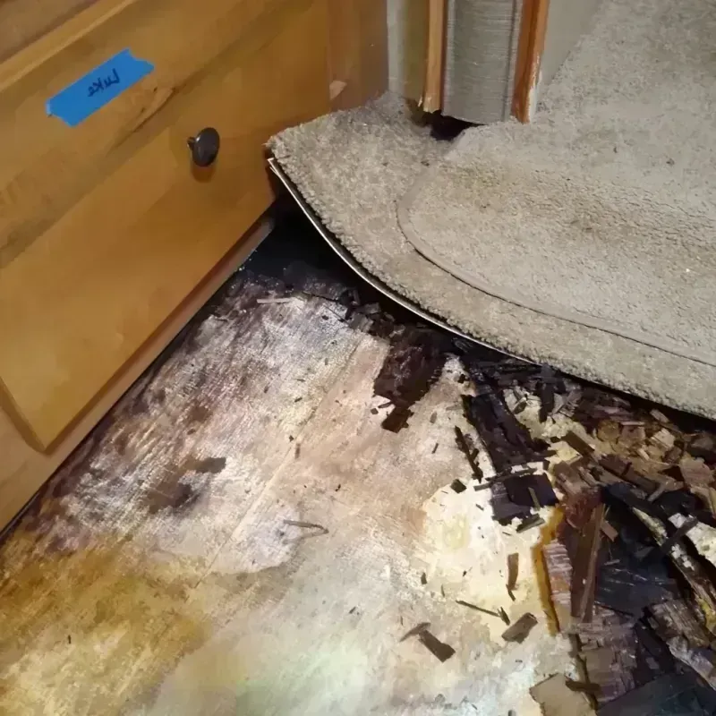 Wood Floor Water Damage in Hobbs, NM